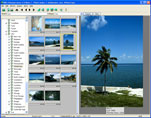 digital picture album with large thumbnails